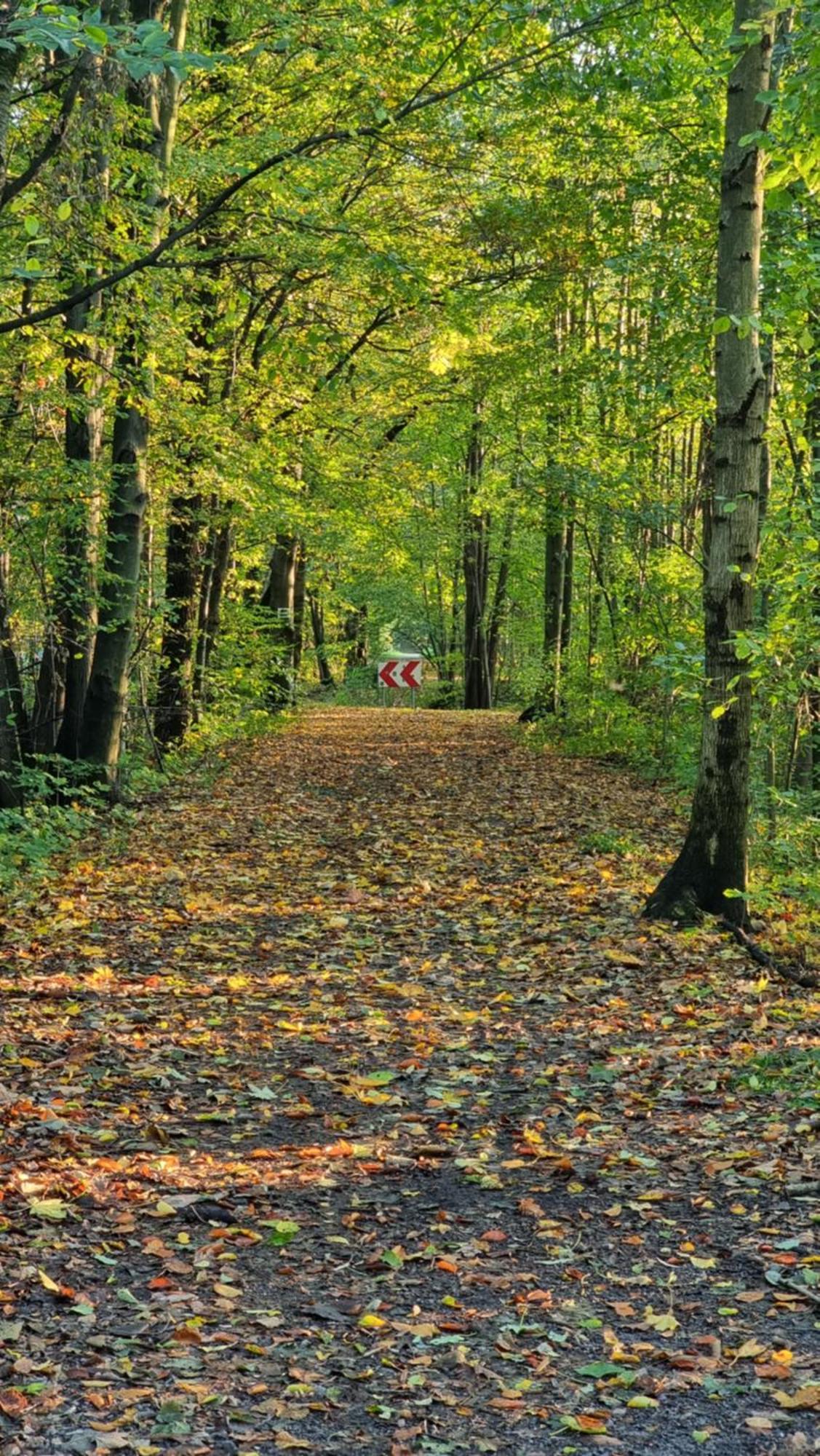 Pokoje Gościnne Adam Ustroń Zewnętrze zdjęcie